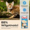 Przysmak dla kota INABA Ciao Churu Pops Tuńczyk z przegrzebkami (4 x 14 g) Przeznaczenie Dla kota