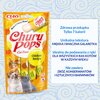 Przysmak dla kota INABA Ciao Churu Pops Kurczak (4 x 15 g) Przeznaczenie Dla kota