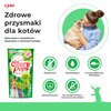 Przysmak dla kota INABA Ciao Churu Pops Tuńczyk z kurczakiem (4 x 15 g) Smak Tuńczyk z kurczakiem