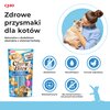 Przysmak dla kota INABA Churu Bites Kurczak z tuńczykiem i przegrzebki (3 x 10 g) Waga [g] 30