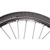 Rower trekkingowy LOMBARDO Milano M19 28 cali męski Zielony mat Rozmiar ramy L