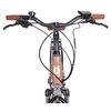 Rower elektryczny LOMBARDO Maratea M21 28 cali Brązowy mat Waga z opakowaniem [kg] 29.6