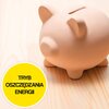 Lodówka GORENJE ONRK619DBK Retro 194cm Czarna AdaptTech, IonAir z MultiFlow Czas utrzymania temperatury w przypadku braku zasilania [h] 10