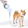 Smycz DOGGY VILLAGE Retractable Leash MT7124 S/M (300 x 0.9 cm) Szary Materiał Nylon