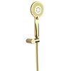 Zestaw prysznicowy natynkowy DEANTE Arnika NQAZ41K 3-funkcyjny Złoty