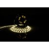 Taśma LED POLGAR ELT-PRO2835-300-IP20-NB-5M 5 m Rodzaj produktu Taśma LED