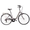 Rower miejski BOTTECCHIA Monotube 7B D17 28 cali damski Tytanowy Liczba biegów 7