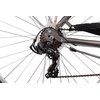 Rower miejski BOTTECCHIA Monotube 7B D17 28 cali damski Tytanowy Wyposażenie Karta gwarancyjna