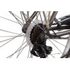 Rower miejski BOTTECCHIA Monotube 7B D17 28 cali damski Tytanowy Wyposażenie Stopka