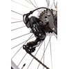 Rower miejski BOTTECCHIA Monotube 7B D17 28 cali damski Tytanowy Kolor Tytanowy