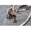 Rower miejski BOTTECCHIA Monotube 7B D17 28 cali damski Tytanowy Rama Aluminiowa