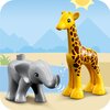 LEGO 10971 DUPLO Dzikie zwierzęta Afryki Motyw Dzikie zwierzęta Afryki