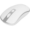 Mysz GEMBIRD MUSW-4B-06-WS Biało-srebrny