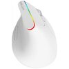 Mysz DELUX M618C Typ myszy Optyczna