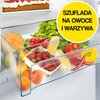 Lodówka LIEBHERR CBNef 5735 No frost 201cm Srebrna Położenie zamrażarki Na dole