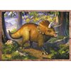 Puzzle TREFL Ciekawe dinozaury (207 elementów) Przeznaczenie Dla dzieci
