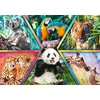 Puzzle TREFL Animal Planet Królestwo zwierząt 10672 (1000 elementów) Typ Tradycyjne