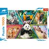 Puzzle TREFL Animal Planet Królestwo zwierząt 10672 (1000 elementów) Seria Animal planet