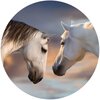 Uchwyt i podstawka POPSOCKETS do telefonu (Basic Sunset Horses) Kolor Wzór (Basic Sunset Horses)