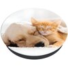 Uchwyt i podstawka POPSOCKETS Basic do telefonu (Cat & Dog) Szerokość [mm] 39.74