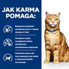 Karma dla kota HILL'S Prescription Diet Multicare c/d Kurczak 8 kg Waga 8 kg