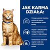 Karma dla kota HILL'S Prescription Diet Multicare c/d Kurczak 8 kg Smak Kurczak