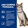 Karma dla kota HILL'S Prescription Diet K/D Kidney Care Kurczak 3 kg Etap życia Dorosły