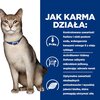 Karma dla kota HILL'S Prescription Diet K/D Kidney Care Kurczak 3 kg Etap życia Senior