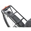 Rower elektryczny SKYMASTER Energy Trekking V2 Pro D20 28 cali Szary Maksymalny zasięg Do 80 km
