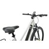 Rower elektryczny SKYMASTER Energy Trekking V2 Pro D20 28 cali Szary Rozmiar koła [cal] 28