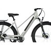 Rower elektryczny SKYMASTER Energy Trekking V2 Pro D20 28 cali Szary Kolor Szary