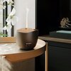 Aromatyzer SHARP DF-A1U-T Brązowy Sterowanie Mechaniczne