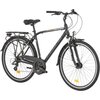 Rower trekkingowy INDIANA X-Road 3.0 M19 