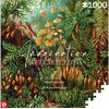 Puzzle CENEGA Imagination: Ernst Haeckel Muscinae (1000 elementów) Seria Imagination