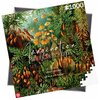 Puzzle CENEGA Imagination: Ernst Haeckel Muscinae (1000 elementów) Liczba elementów [szt] 1000