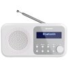 Radio SHARP DR-P420 Biały Zakresy fal radiowych DAB+