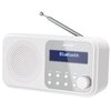 Radio SHARP DR-P420 Przenośne Biały Zakresy fal radiowych DAB