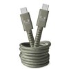 Kabel USB-C - USB-C FRESH N REBEL 2.0 m Zielony Długość [m] 2