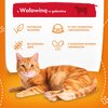 Karma dla kota BUTCHER'S Delicious Dinners kawałki z wołowiną w galaretce 400 g Opakowanie Puszka