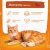 Karma dla kota BUTCHER'S Delicious Dinners kawałki z dziczyzną w galaretce 400 g Opakowanie Puszka