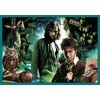 Puzzle TREFL Harry Potter 10w1 W świecie Harrego Pottera 90392 (329 elementów) Wymiar obrazka [cm] 22.3 x 15.6