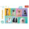 Na obrazku znajduje się opakowanie puzzli "Trefl Puzzle" z motywem sześciu różnych psów na kolorowym tle, z oznaczeniem "100" elementów oraz wiekiem "5+". W prawym górnym rogu widoczne jest logo "Trefl".