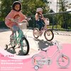 Rower dziecięcy SUN BABY Heart Bike Silver Moon 16 cali dla dziewczynki Różowy Kolekcja 2023