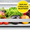 Lodówka HISENSE RF632N4WIE1 4D SkyLine No Frost 200cm Inox Wi-Fi ConnectLife Metal Tech Cooling Funkcje dodatkowe 2 regulowane nóżki