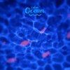 Projektor PABOBO Calm Ocean Pluszowa Gwiazda PAB-002-GN Głębokość [cm] 27