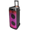Power Audio BLAUPUNKT PB08DB, 700W, Bluetooth, Bateria 16 godzin, Dwa bezprzewodowe mikrofony w zestawie, Tuner FM Bluetooth Tak