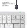 Klawiatura LOGITECH MX Mechanical Mini for Mac Silver Kolor Biało-szary
