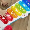 Zabawka edukacyjna FISHER PRICE Ucz się i śmiej! Duży ksylofon do ciągnięcia HJK41 Płeć Dziewczynka