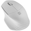 Mysz NATEC Siskin 2 Typ myszy Optyczna