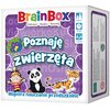 Gra edukacyjna REBEL Brainbox Poznaję zwierzęta 2005946